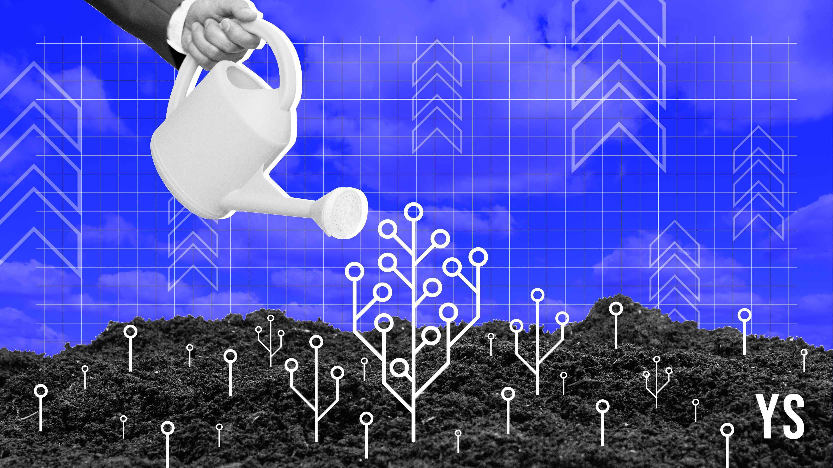 Qucev to raise Rs 131.3 Cr led by Singularity AMC