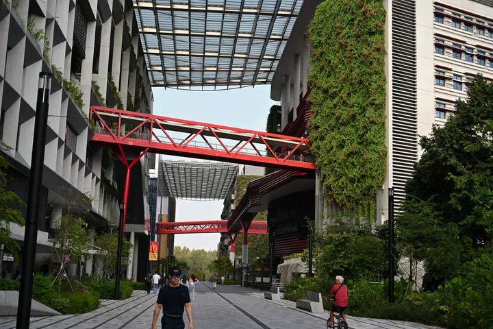 Singapore start-ups show that AI isn’t just a Big Tech playground