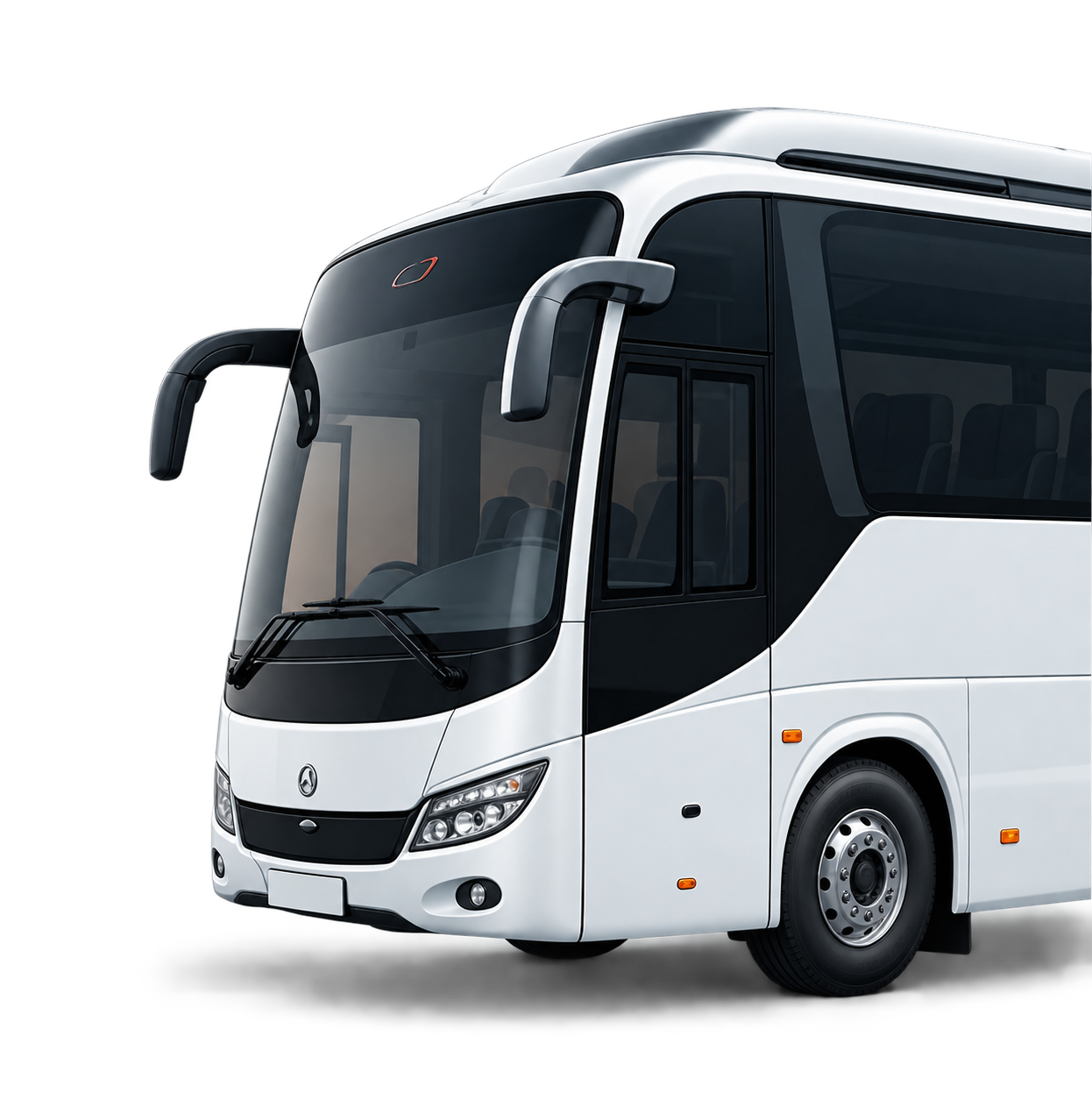 Buses